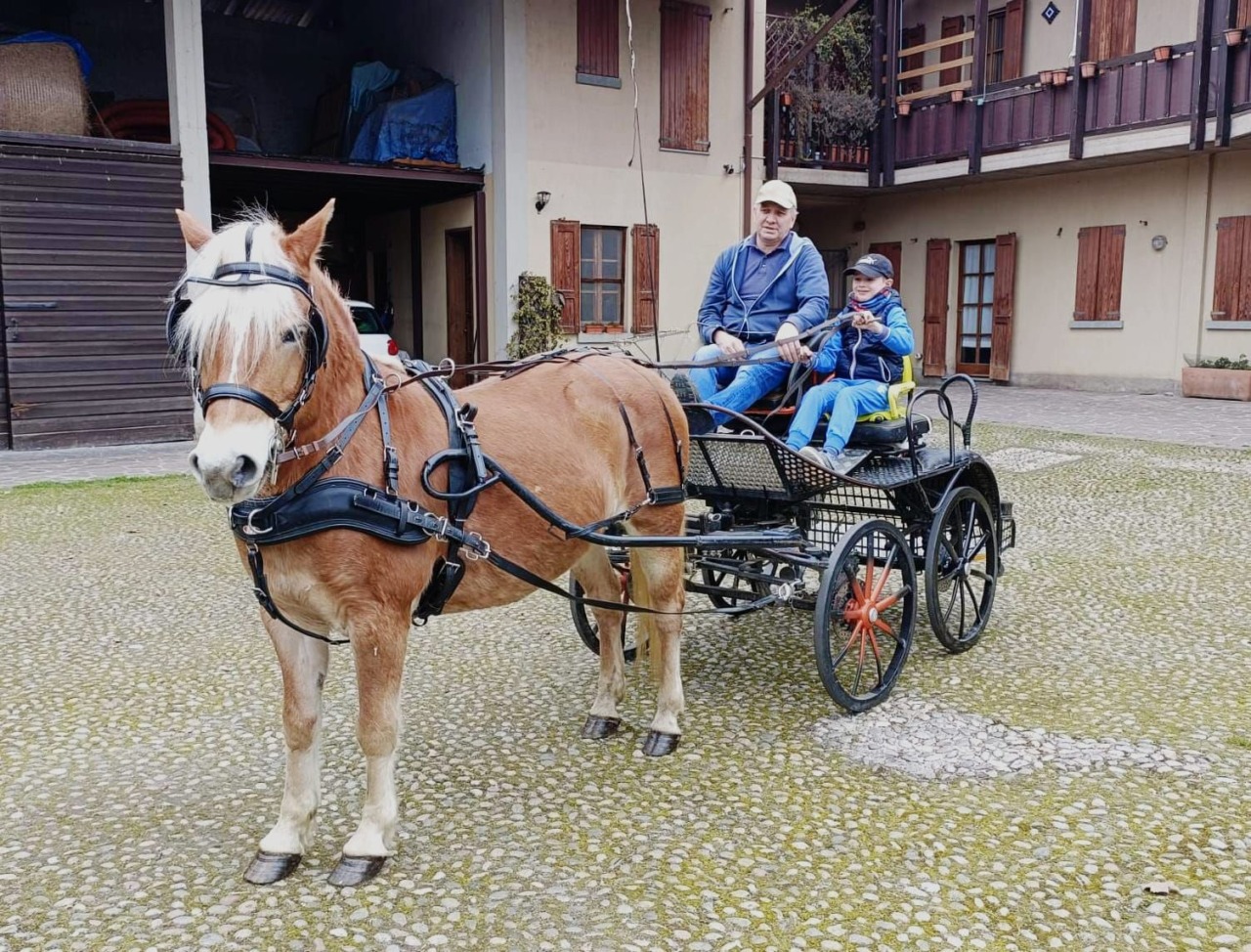 Marco Gamba, “figlio d’arte” di Treviolo, a 8 anni guida già… la carrozza