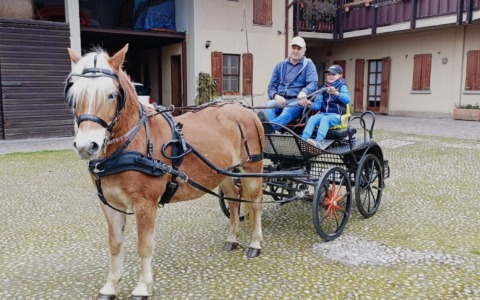 Marco Gamba, “figlio d’arte” di Treviolo, a 8 anni guida già… la carrozza