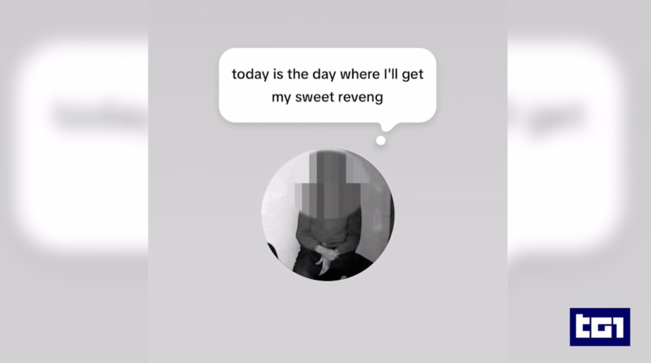 La diretta su Telegram prima di aggredire la prof a Trescore: indagini sui contatti del 13enne