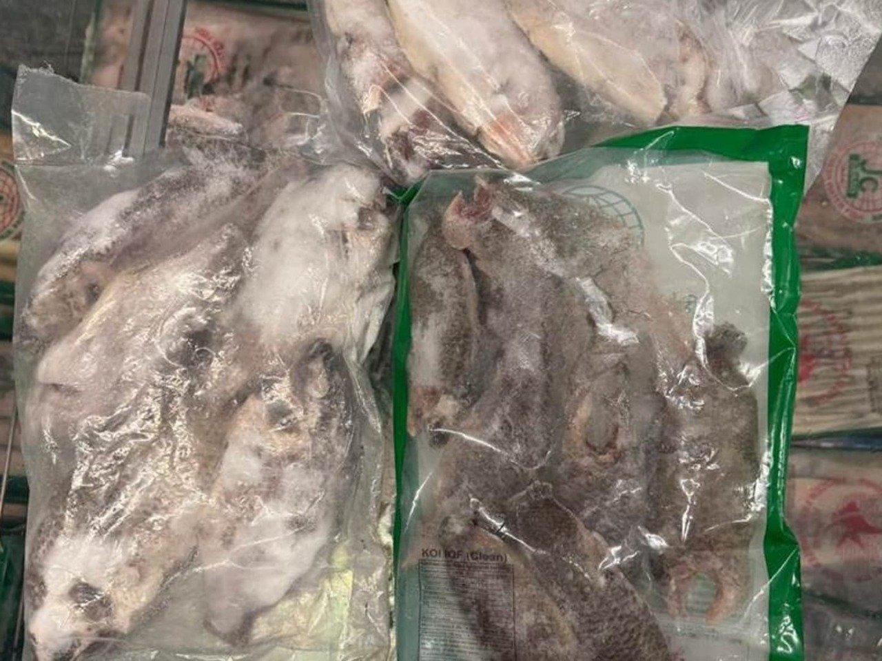 Un negozio etnico di Bergamo trovato con pesce scaduto nel freezer: sospesa la vendita