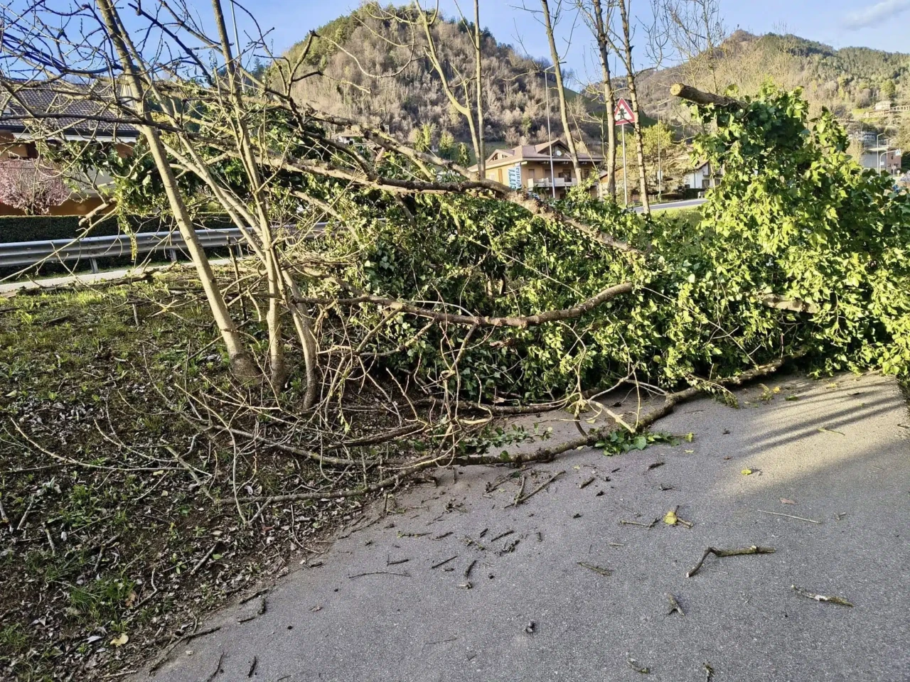 Vento fino a 134 km/h: le forti raffiche hanno provocato danni in Bergamasca