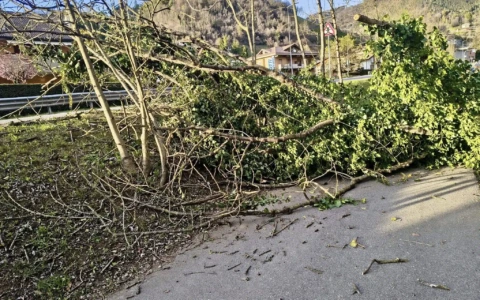 Vento fino a 134 km/h: le forti raffiche hanno provocato danni in Bergamasca