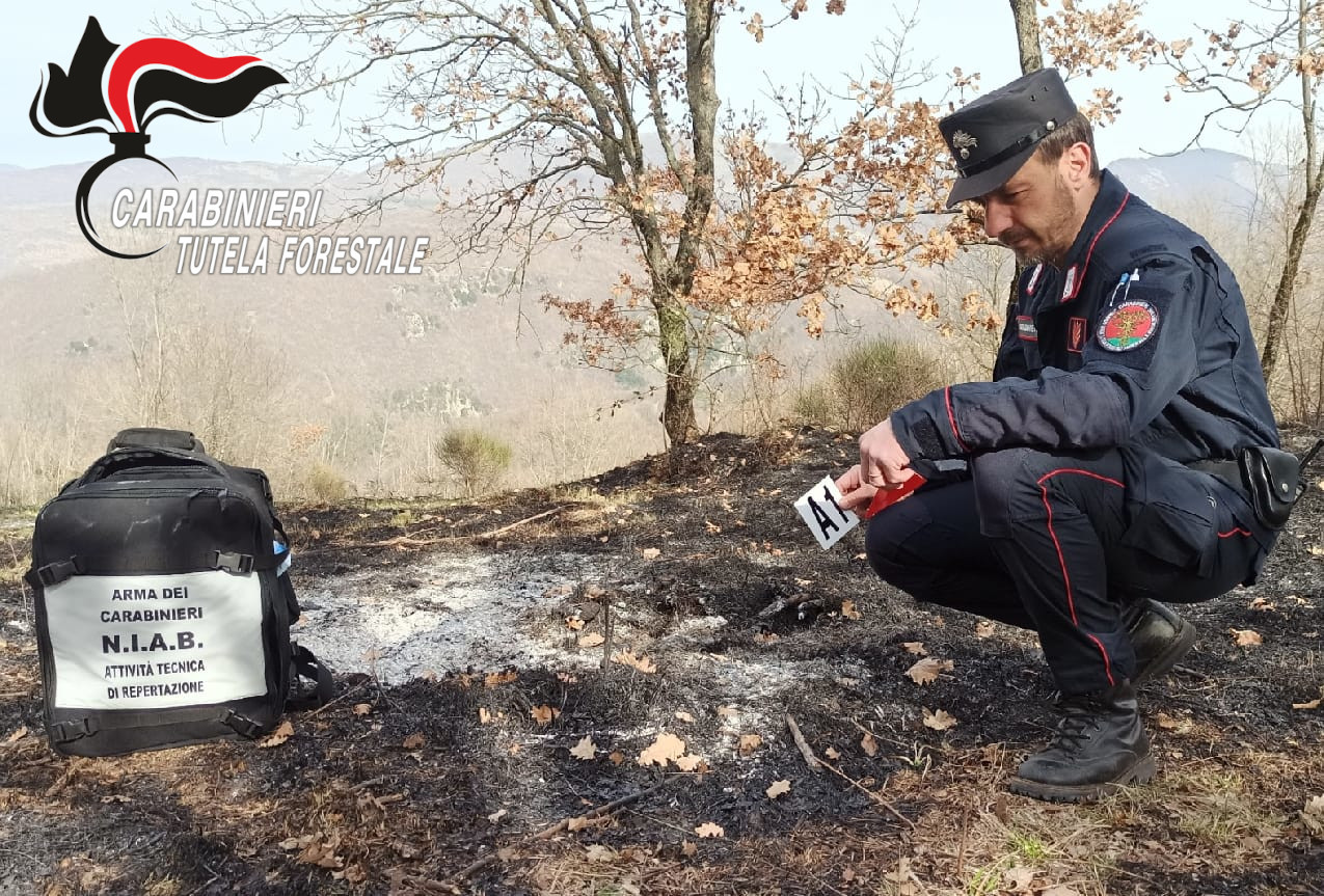 Incendi boschivi, scatta l’allerta in Bergamasca: rischio elevato e controlli rafforzati