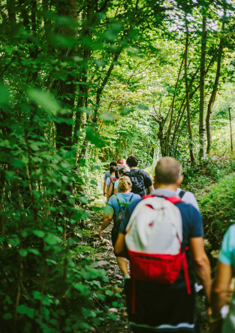Torna “Erbe del Casaro”, la rassegna per scoprire erbe locali e tradizione casearia dell’alta Valle Brembana