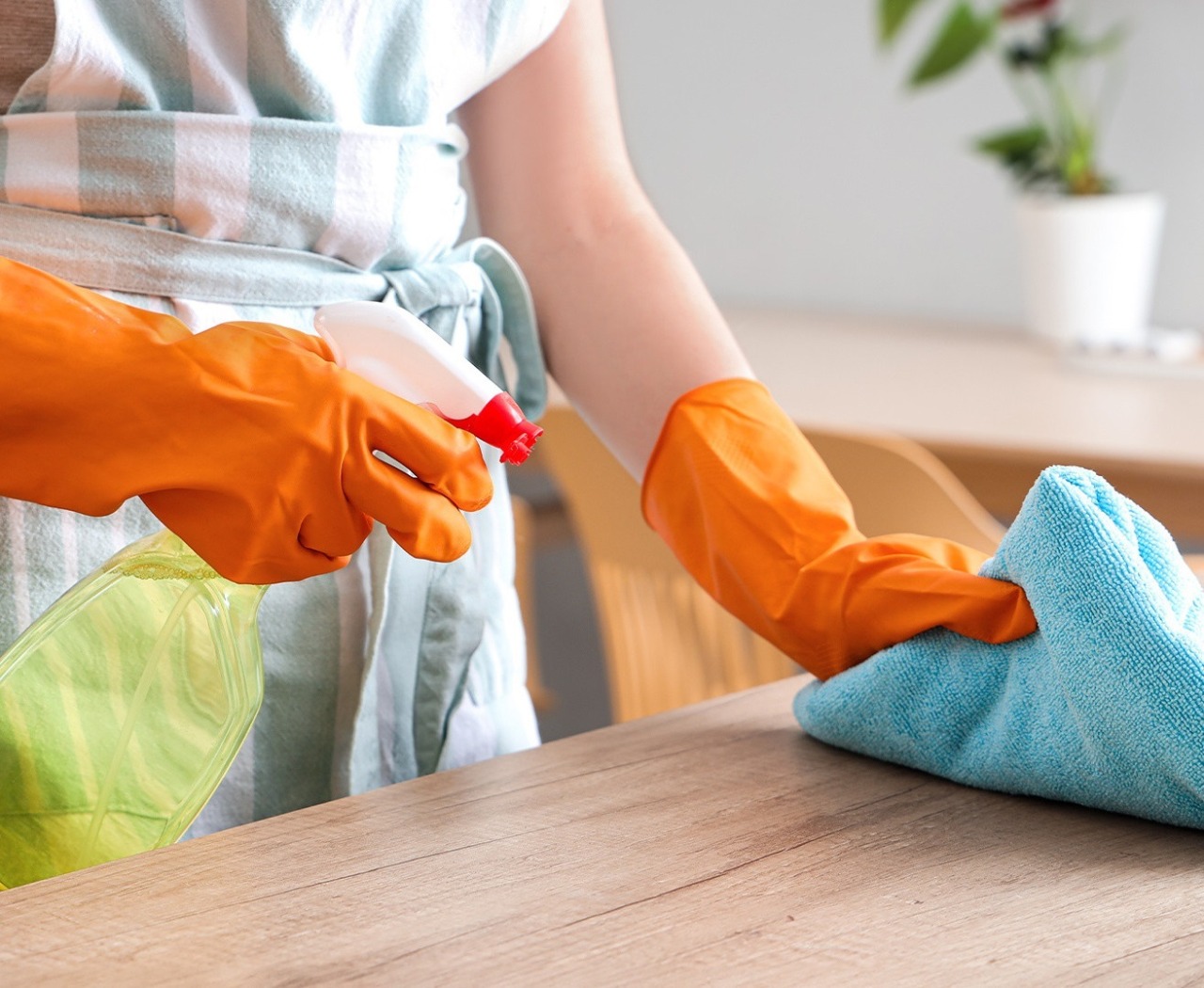 Quando le donne “i böta ‘n aria la cà”, in primavera