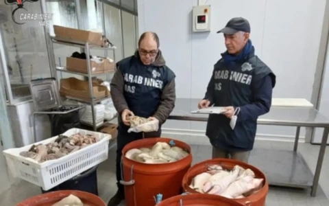 Blitz in via Foro Boario: maxi multa a un locale, sequestrati 140 kg di carne