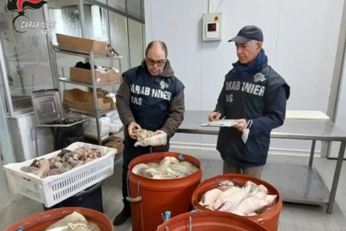 Blitz in via Foro Boario: maxi multa a un locale, sequestrati 140 kg di carne