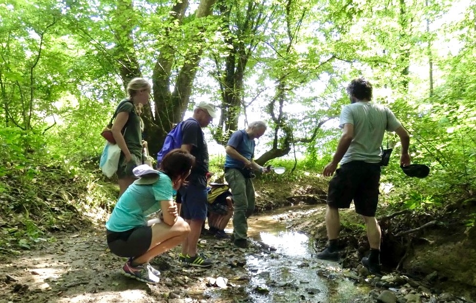 Bergamo partecipa al “City Nature Challenge 2026”, per mappare la biodiversità urbana