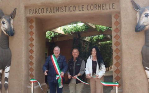 Le Cornelle di Valbrembo investono 800mila euro per i rari okapi