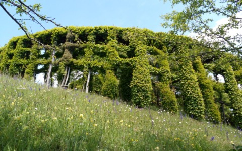 È meglio farla prima che dopo, la cosiddetta “passada”
