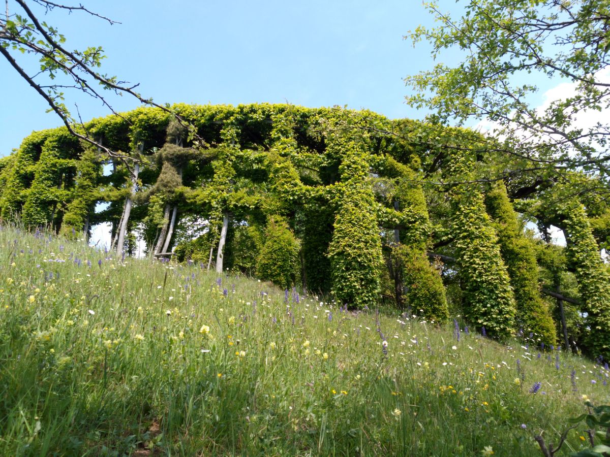 È meglio farla prima che dopo, la cosiddetta “passada”