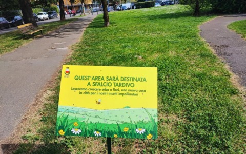 A via lo sfalcio differenziato nei parchi anche a Seriate