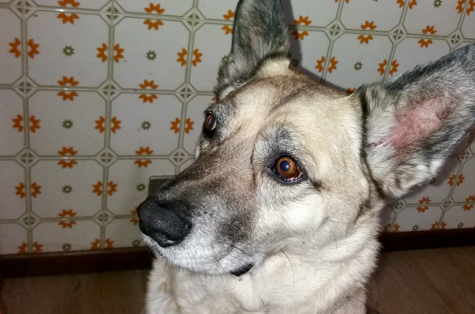 Il racconto Davide di Ponte San Pietro e la sua vita ribaltata da uno sfratto a 63 anni