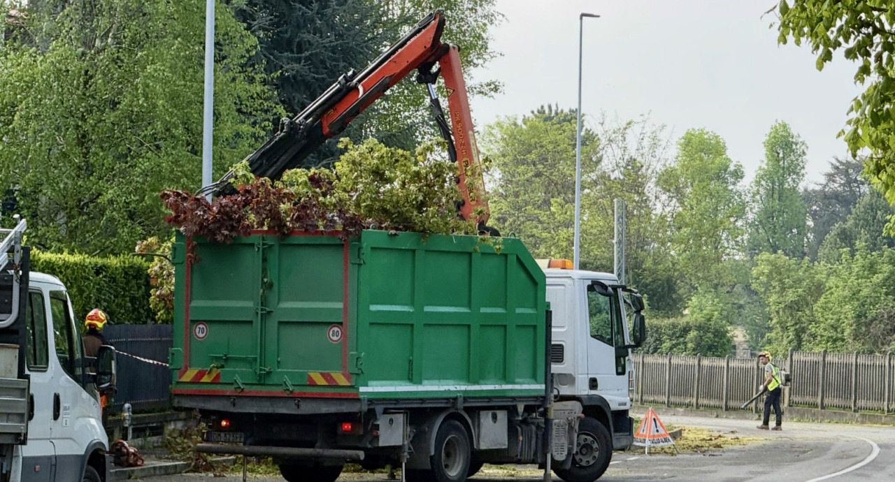 “Battaglia” contro il tarlo asiatico: a Mozzo sono iniziati gli abbattimenti di diversi alberi