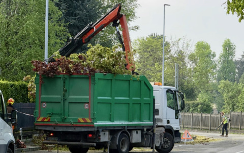 “Battaglia” contro il tarlo asiatico: a Mozzo sono iniziati gli abbattimenti di diversi alberi