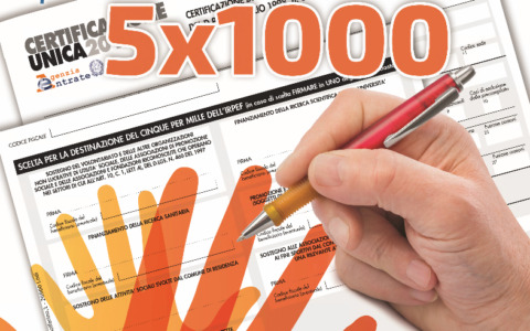 A chi è andato il 5×1000? Tra gli enti con sede a Bergamo, i gatti incassano più del Patronato