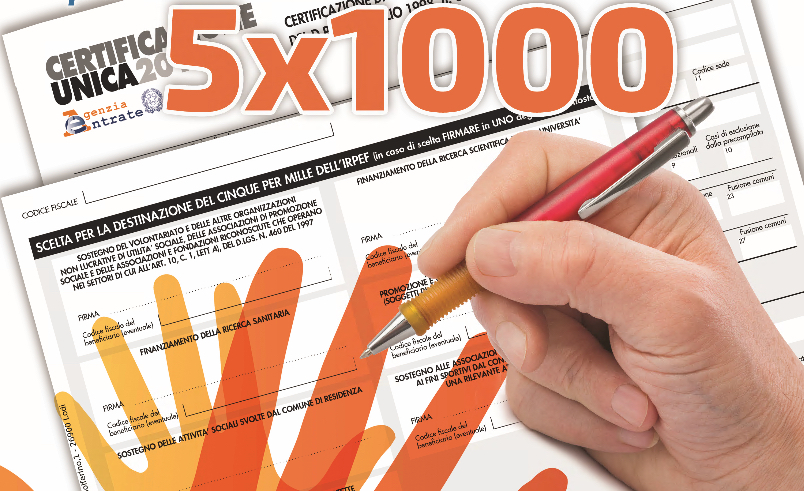 A chi è andato il 5×1000? Tra gli enti con sede a Bergamo, i gatti incassano più del Patronato