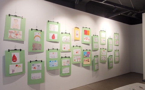 Sedici nomi, tre steli e una panchina bianca: a Dalmine il grazie a chi ha scelto di donare