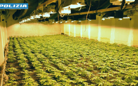 Quasi duemila piante di marijuana in un capannone a Ubiale Clanezzo: arrestati due albanesi