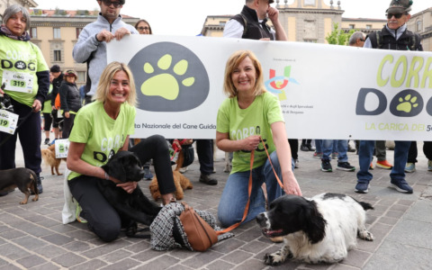 Amici a quattro zampe e solidarietà: a Bergamo il successo della dodicesima Corridog