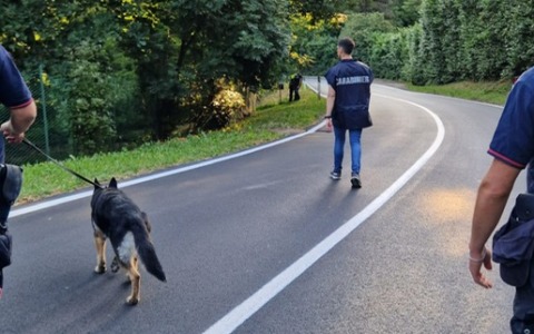 Controlli nei boschi di Scanzo e dell’hinterland di Bergamo: tre stranieri denunciati ed espulsi