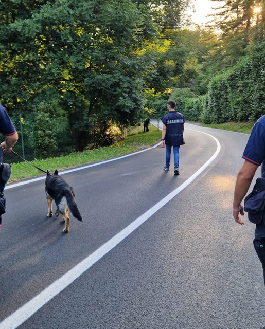 Controlli nei boschi di Scanzo e dell’hinterland di Bergamo: tre stranieri denunciati ed espulsi