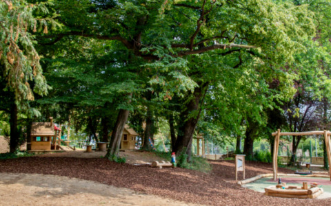 Dopo l’agronomo garante del verde, ecco che a Torre Boldone arrivano anche le guardie eco-zoofile