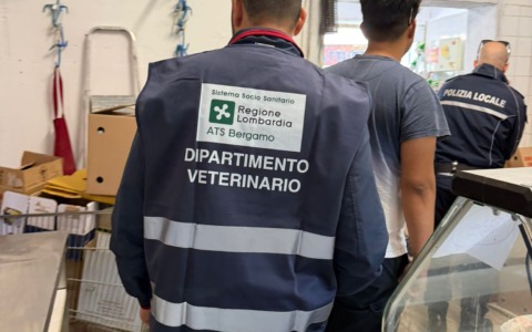Blitz in un market etnico di Gorle, trovati carne e pesce mal conservati: attività sospesa e 6 mila euro di multa