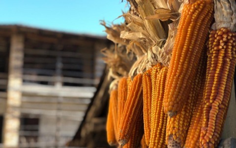 Mais Spinato, tornano “I Giorni del Melgotto” a Gandino: due weekend tra sapori, tradizioni e solidarietà