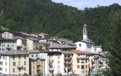 Pensionato aggredito da 13 cani durante una passeggiata nel bosco a Cusio