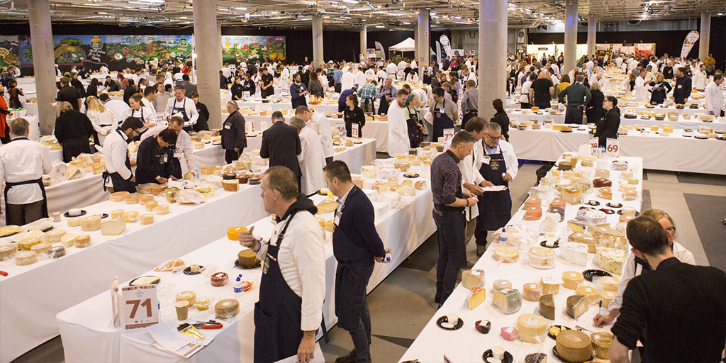 BCC Milano partner di B2Cheese 2026 e World Cheese Capital