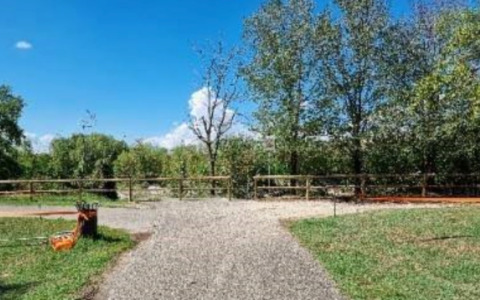 Pomeriggio di paura a Treviolo: uomo di 83 anni rapinato mentre passeggiava nel parco