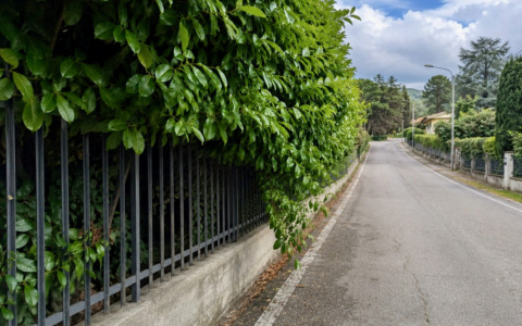 A Mozzo multe fino a 500 euro per chi non pota le siepi e le piante private