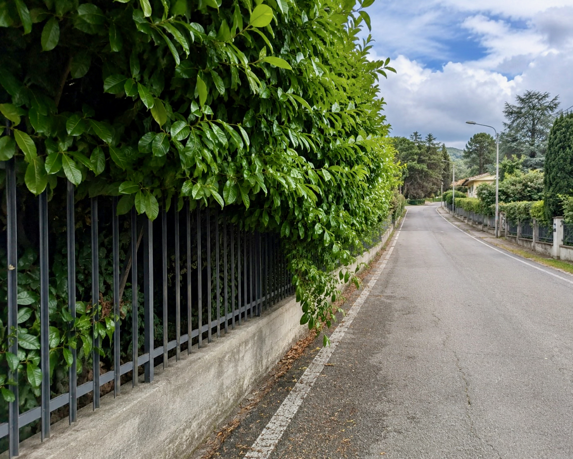A Mozzo multe fino a 500 euro per chi non pota le siepi e le piante private