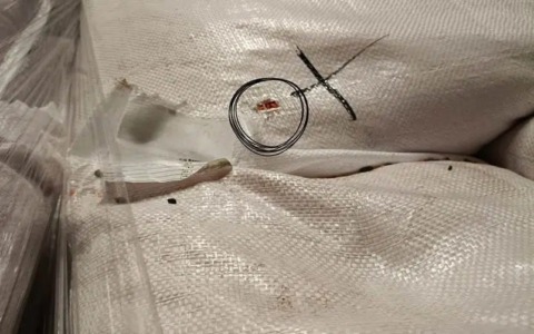 Blatte in cucina e topi nei deposito: sospese due attività in Bergamasca