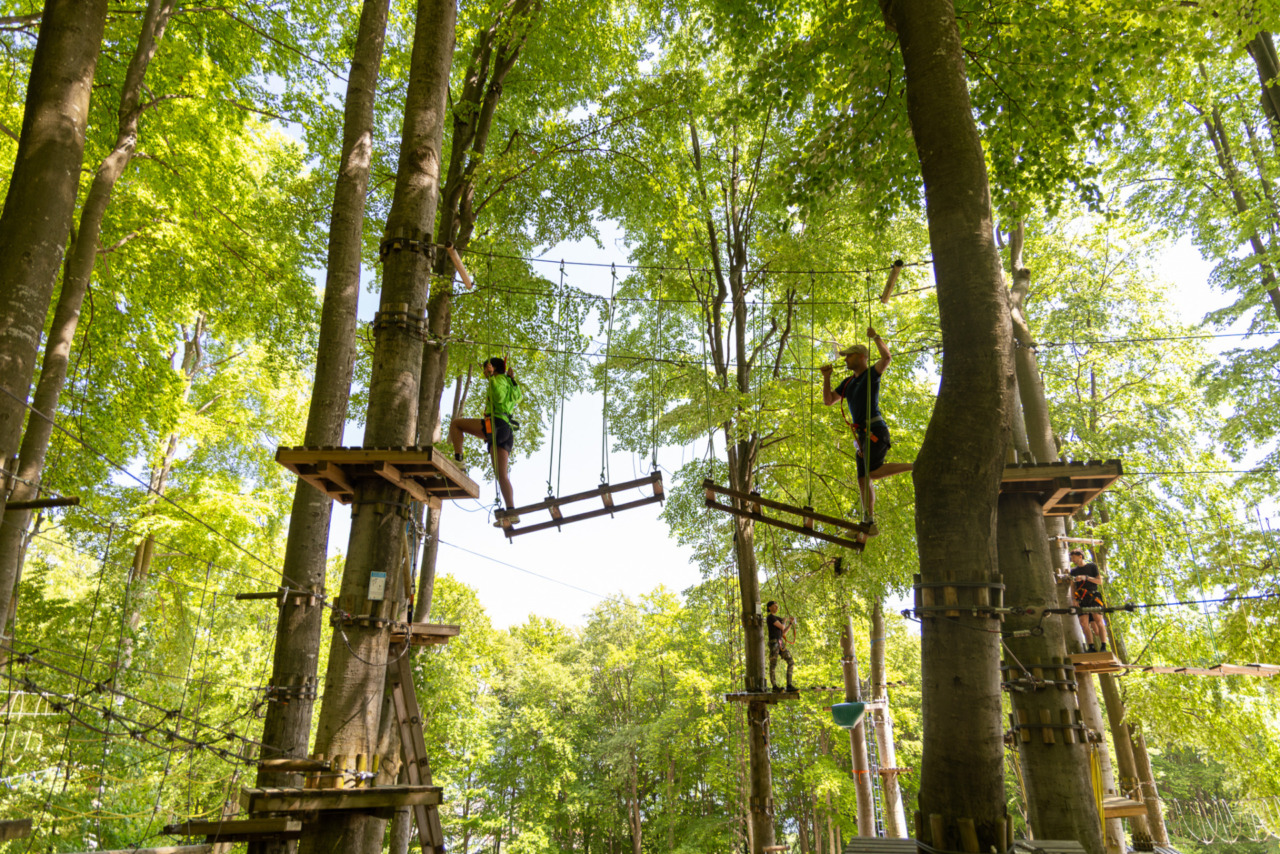 Parco Avventura Roncola per tutta la famiglia: l’anima wild della Valle Imagna