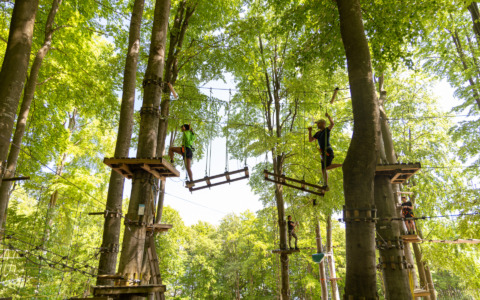 Parco Avventura Roncola per tutta la famiglia: l’anima wild della Valle Imagna