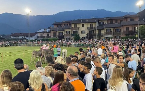 Songavazzo si prepara al Palio degli Asini: torna la festa con musica, sapori e fuochi d’artificio
