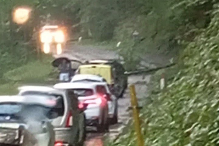 Alberi sulla carreggiata ad Algua, viabilità ripristinata dopo l’intervento dei soccorsi