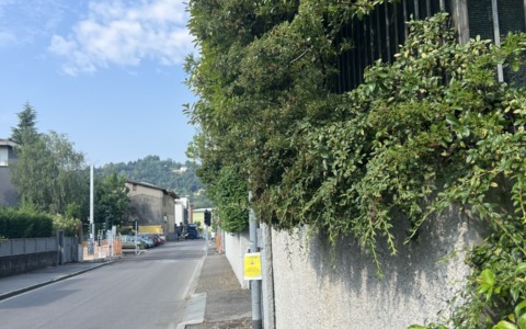 Vegetazione e siepi invadono i marciapiedi di Bergamo: «Son stanco di fare slalom tra i cespugli»
