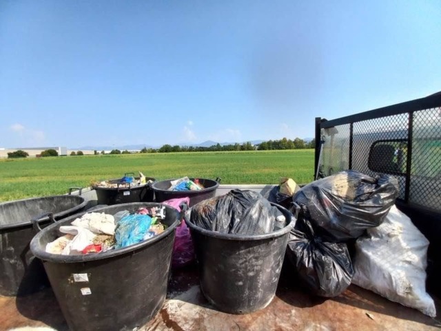 Rifiuti abbandonati a Calcinate, la sindaca sbotta: «Ripulire costa a tutta la comunità»