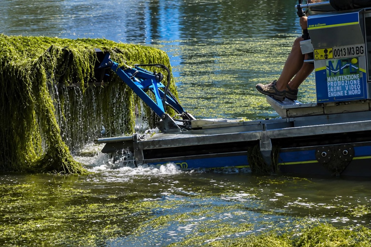 Siccità e invasione di alghe nel Lago d’Iseo: chiusi due imbarcaderi