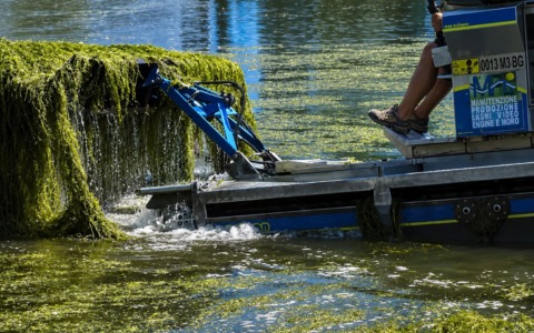 Siccità e invasione di alghe nel Lago d’Iseo: chiusi due imbarcaderi