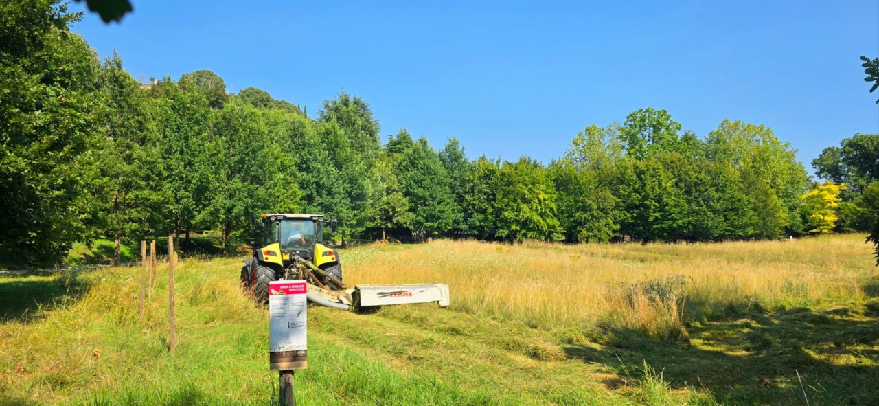Fare il fieno in città: il Comune di Bergamo affida a un’impresa agricola locale la fienagione delle aree verdi