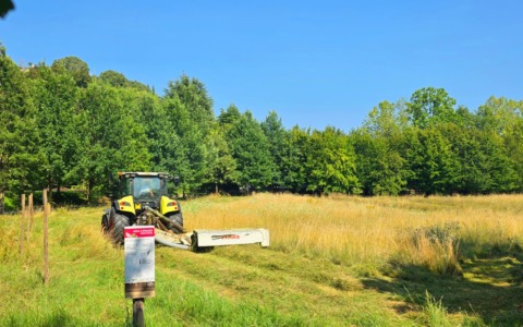 Fare il fieno in città: il Comune di Bergamo affida a un’impresa agricola locale la fienagione delle aree verdi
