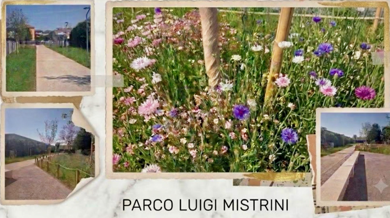 A Treviolo è stata annunciata la riapertura del Parco Mistrini dopo la riqualificazione
