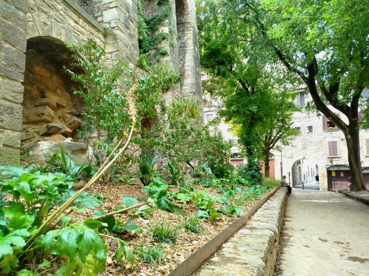 Le immagini delle aiuole rimesse a nuovo in via Papa Giovanni, via Locatelli e via Mario Lupo a Bergamo
