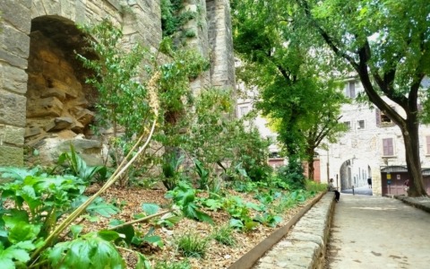 Le immagini delle aiuole rimesse a nuovo in via Papa Giovanni, via Locatelli e via Mario Lupo a Bergamo