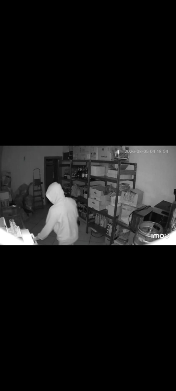 Arrestato il presunto responsabile dei furti di Sarnico: sorpreso a rubare in una pizzeria da un carabiniere fuori servizio