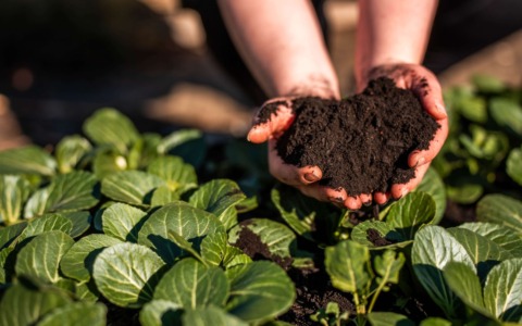 Il Comune di Bergamo e Coldiretti siglano un protocollo d’intesa per valorizzare agricoltura e cultura del cibo